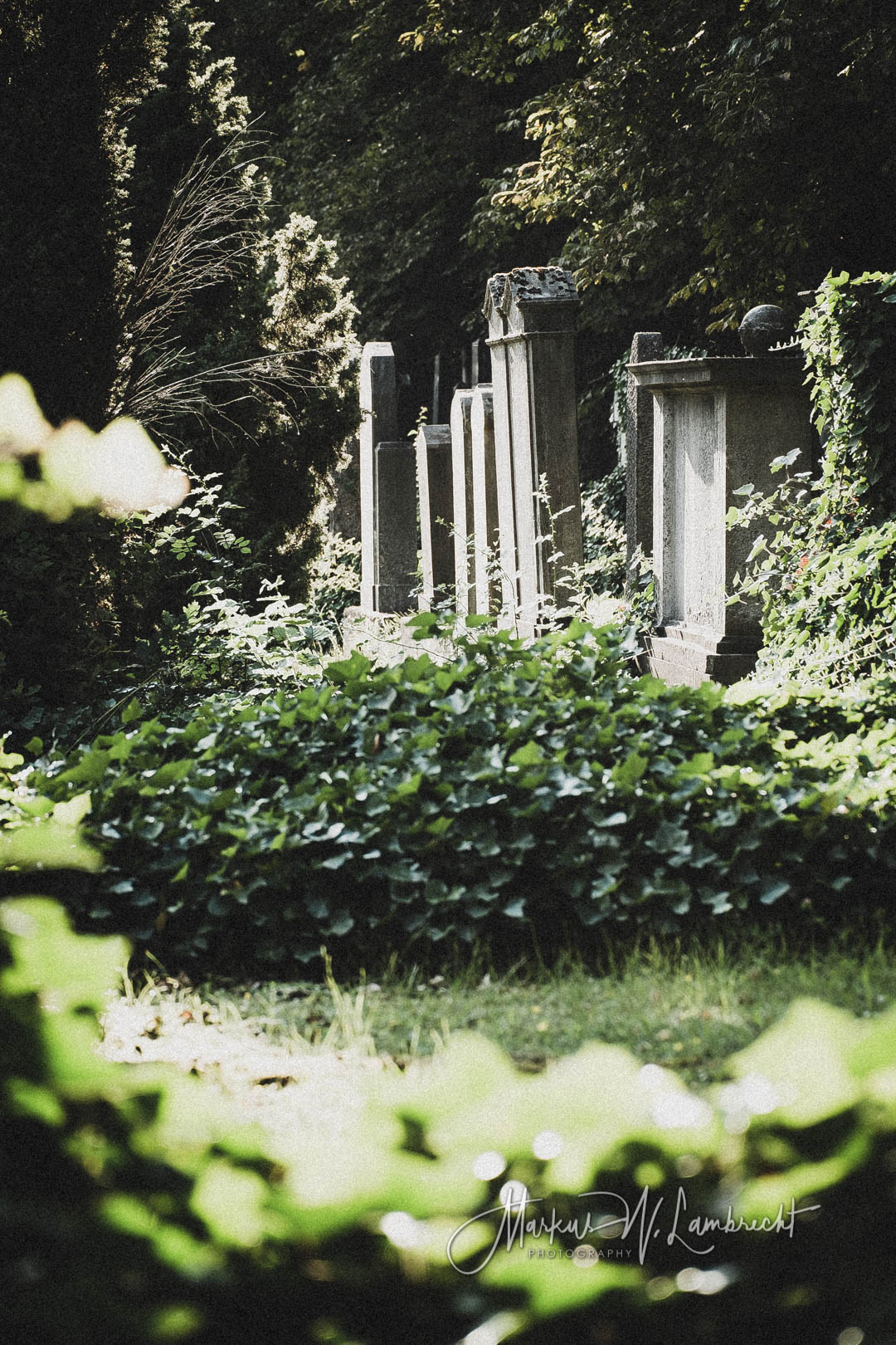 Jüdischer Friedhof Kassel-Bettenhausen